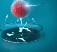 上海仁济医院做试管多少钱？