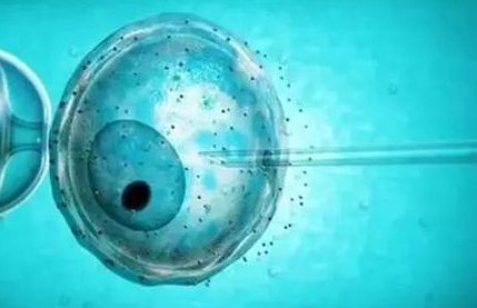 武汉三代试管婴儿助孕多少钱？需要注意什么？