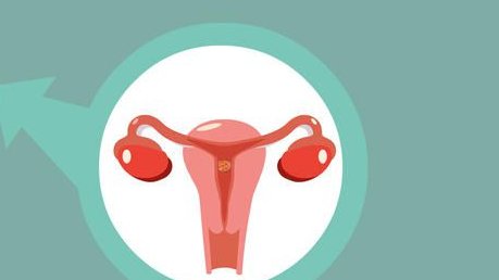 2026年拉拉在河北燕达医院做三代试管的成功率高吗？如何提升成功率