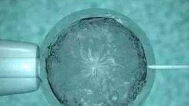 惠州助孕公司前三名介绍，